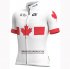 Abbigliamento Groupama FDJ 2019 Manica Corta e Pantaloncino Con Bretelle Campione Canada